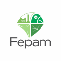 logo_fepam